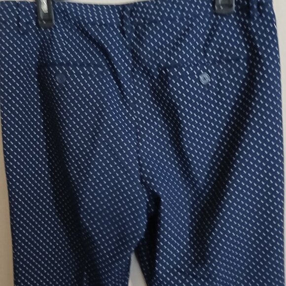 Seventh Ave Blue Polka Dot Pants - Picture 4 of 5